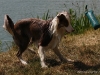 cimg_7405