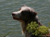 cimg_7431