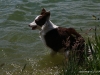 cimg_7674