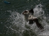 cimg_7682