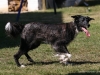 cimg_7895