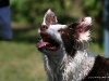 cimg_7902