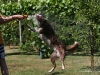 cimg_7922