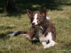 cimg_8056