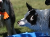 cimg_8062