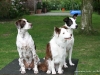 cimg_5363