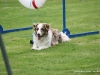 cimg_5385