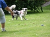 cimg_5581