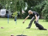 cimg_5596
