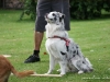 cimg_5708