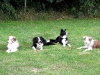 gruppen0022