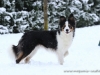cIMG_3646