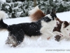 cIMG_3695