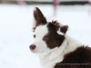 cIMG_3705