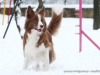 cIMG_3736