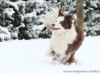 cIMG_3780