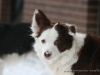 cIMG_3785