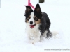 cIMG_3818