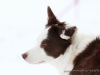 cIMG_3823