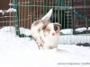 cIMG_4221