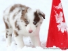 cIMG_4293