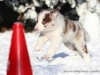 cIMG_4433