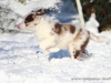 cIMG_4435