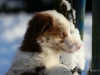 cIMG_4551