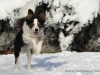 cIMG_4625