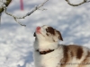 cIMG_4637